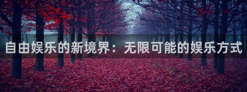 新航娱乐注册地址