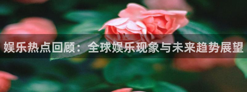 辉达平台注册